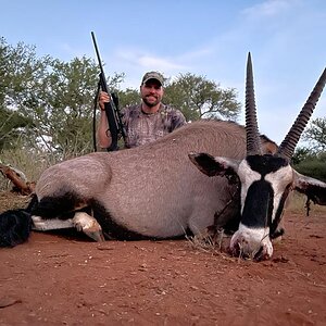Gemsbok Hunt Limpopo South Africa