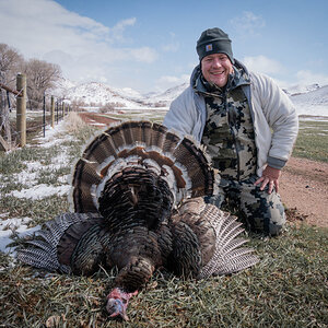 Turkey Hunting Wyoming
