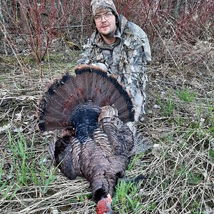Turkey Hunting Canada