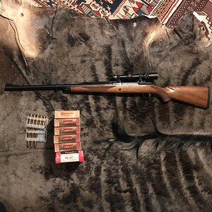 Ruger 458 Lott Rifle