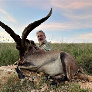 Beceite Ibex Hunt Spain