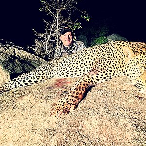 Leopard Bowhunting Zimbabwe