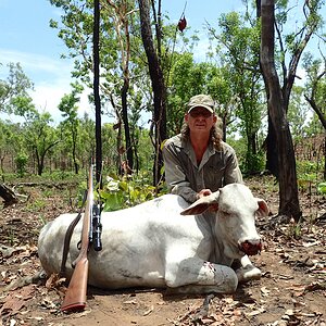 Wild Bull Hunt Australia