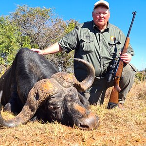 Buffalo Hunting South Africa