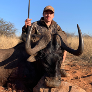 Black Wildebeest Hunting Namibia