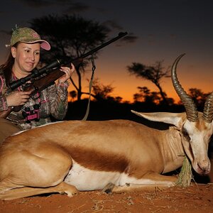 Kalahari South Africa Hunting Springbok