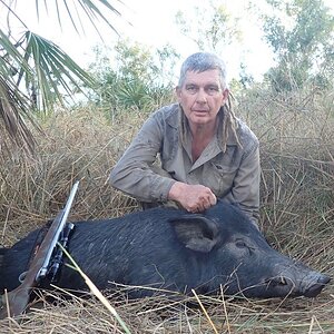 Hunting Pig Australia