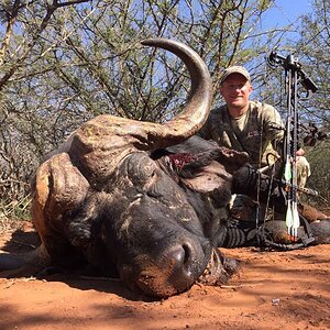 Bow Hunting Buffalo South Africa