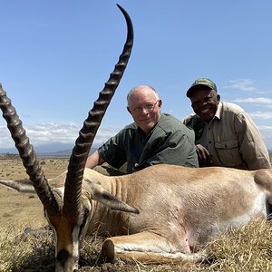 Thomson's gazelle Hunt Tanzania