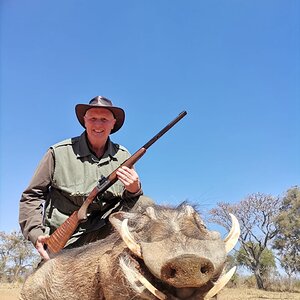 Warthog Hunt South Africa