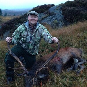 Red Deer Hunting Scottland
