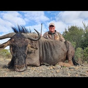 Wildebeest Hunt South Africa 2021