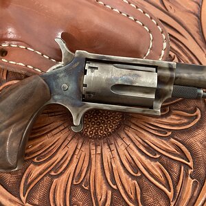 NAA Mini Magnum From  Provo Utah Handgun