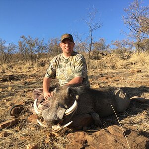 Warthog Hunt Khomas Highland Namibia