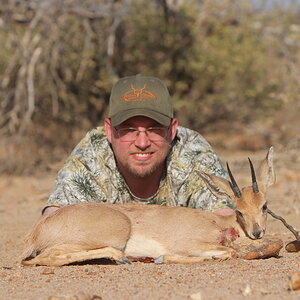 Steenbok Hunt Khomas Highland Namibia