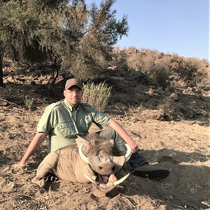 Warthog Hunt Khomas Highland Namibia