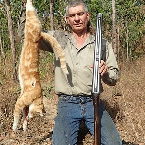 Ferral Cat Hunt Australia