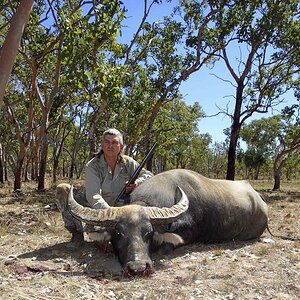 Wild Water Buffalo Hunting Australia