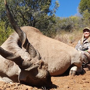 Eland Hunting South Africa