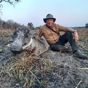 Warthog Hunt Zambia