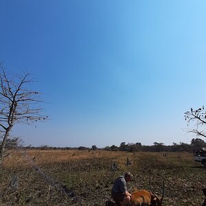 Kafue Lechwe Hunt Zambia