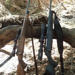 Winchester 1950s Pre 64 Supergrade 300 H&H Rifle & 185 TTSX Rifle