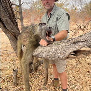 Baboon Hunt Mozambique