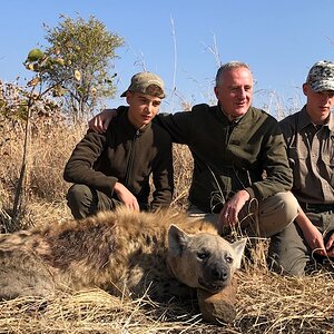 Spotted Hyena Hunting Matetsi Zimbabwe