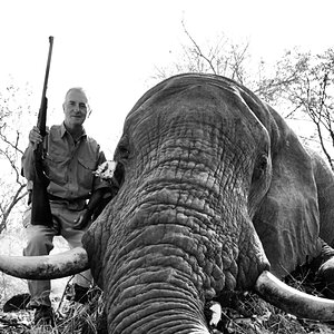 Elephant Hunting Matetsi Zimbabwe