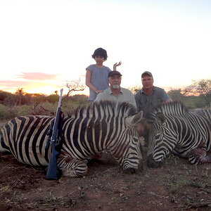 Burchell's Plains Zebra Hunt