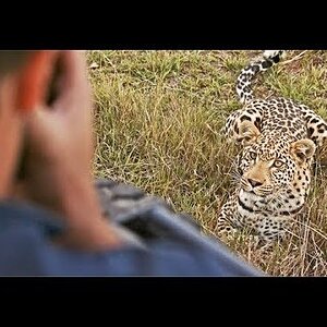 Botswana's Nature & Leica Sport Optics