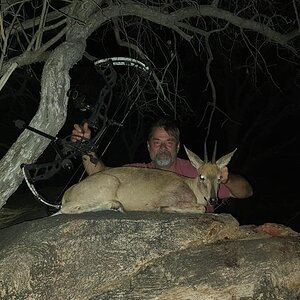 Grys Duiker Bow Hunt South Africa
