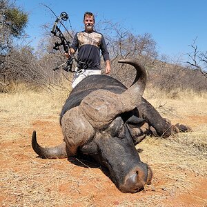 Buffalo Bow Hunt Limpopo South Africa