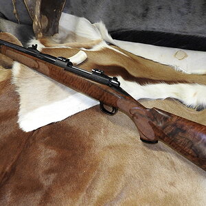 458 Winchester Rifle