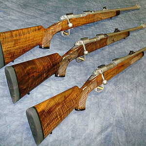 Bastogne Stocks Safari Express Rifles