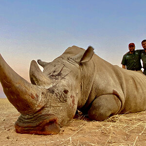 White Rhino Hunt Nothern Cape South Africa