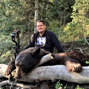 Black Bear Hunt Utah