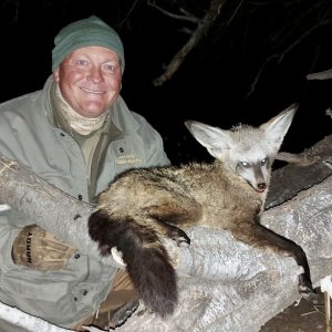 Nat-Eared Fox Hunt Kalahari South Africa