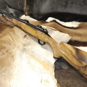 Accurate Innovations Stock On Rifle