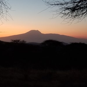 Views Of Kilimanjaro Massailand
