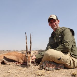 Thomson Gazelle Hunt Massailand
