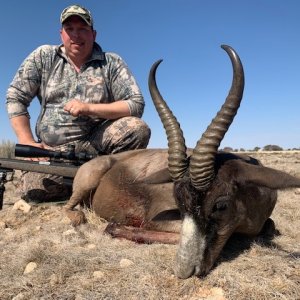 Black Springbok Hunting Northern Cape South Africa