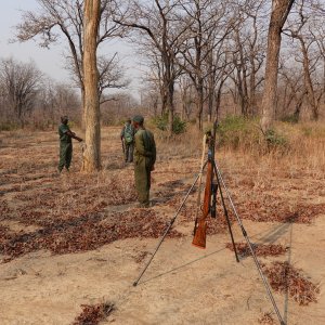 375 H&H & Shooting Sticks Zimbabwe