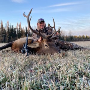 Elk Hunt Canada