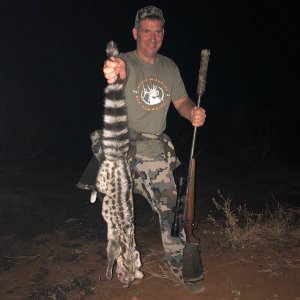 Civet Hunting South Africa
