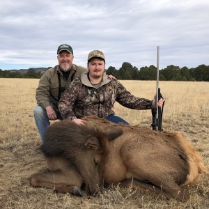 Elk Cow Hunting Raton New Mexico
