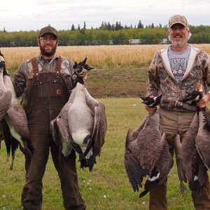 Goose Hunting Canada