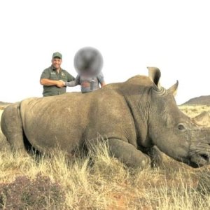 White Rhino Hunting South Africa