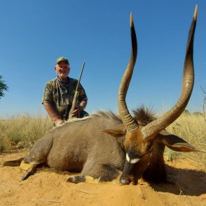 Nyala Hunting Kalahari South Africa
