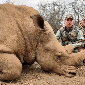 White Rhino Hunting South Africa